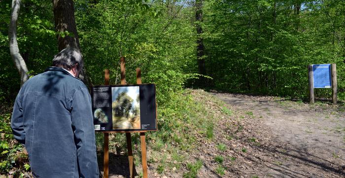 Marcoussis - Parcours Corot